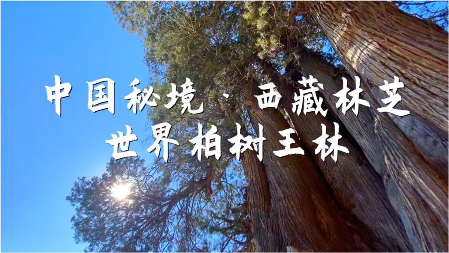 有关王一博的时间差打得飞起，细翻同一套话术，已经是第四次了！